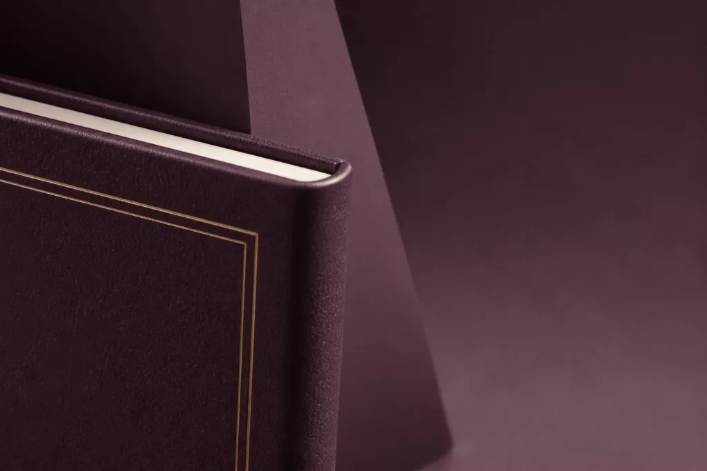 StoryKeeper book — Eggplant Modern Triangular Field